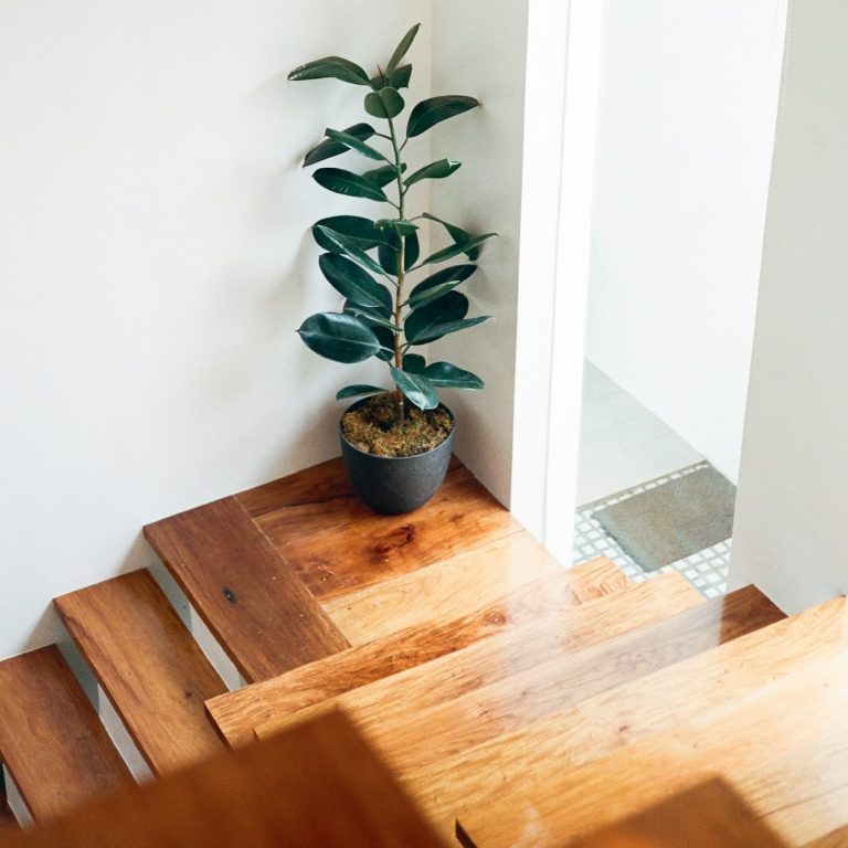 Holztreppe mit einer Pflanze in einem Topf in der Nähe einer offenen Tür.